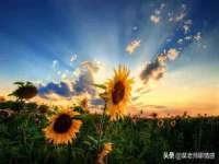 北京翼趣科技有限公司