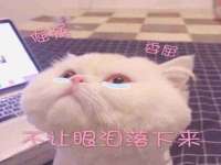 北京翼趣科技有限公司