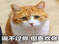 北京翼趣科技有限公司