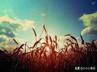 北京翼趣科技有限公司