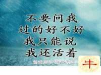 北京翼趣科技有限公司