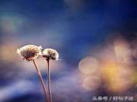 北京翼趣科技有限公司