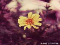 北京翼趣科技有限公司