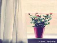 北京翼趣科技有限公司