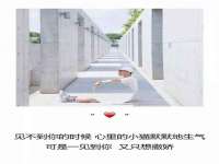 北京翼趣科技有限公司
