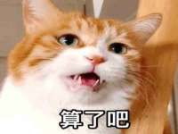 北京翼趣科技有限公司