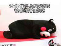 北京翼趣科技有限公司