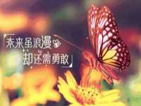 北京翼趣科技有限公司
