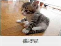 北京翼趣科技有限公司