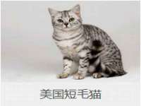 北京翼趣科技有限公司