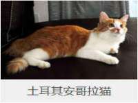 北京翼趣科技有限公司