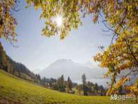 北京翼趣科技有限公司
