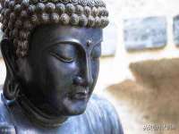 北京翼趣科技有限公司