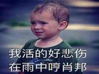 北京翼趣科技有限公司