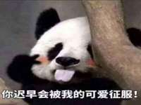 北京翼趣科技有限公司
