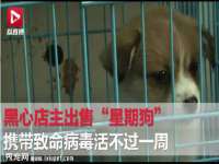 北京翼趣科技有限公司