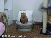 北京翼趣科技有限公司