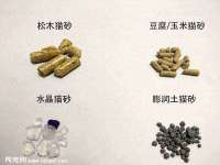 北京翼趣科技有限公司