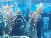 北京翼趣科技有限公司