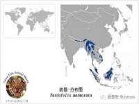 北京翼趣科技有限公司