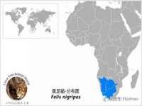 北京翼趣科技有限公司