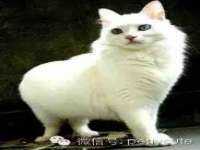 北京翼趣科技有限公司