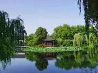 北京翼趣科技有限公司