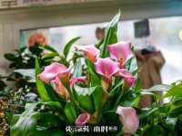 北京翼趣科技有限公司