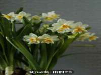 北京翼趣科技有限公司