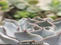 北京翼趣科技有限公司