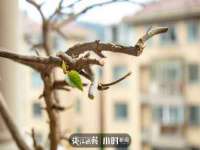 北京翼趣科技有限公司