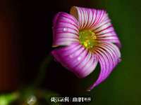 北京翼趣科技有限公司