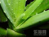 北京翼趣科技有限公司