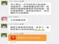 北京翼趣科技有限公司