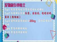 北京翼趣科技有限公司