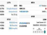 北京翼趣科技有限公司