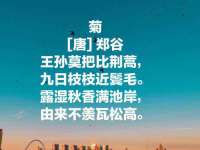 北京翼趣科技有限公司