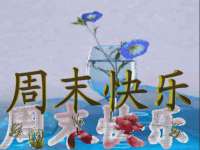 北京翼趣科技有限公司