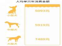 北京翼趣科技有限公司