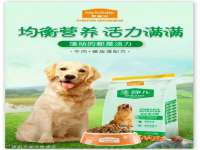 北京翼趣科技有限公司