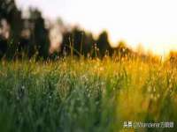 北京翼趣科技有限公司