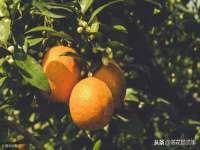北京翼趣科技有限公司
