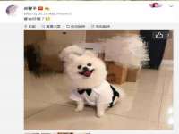 北京翼趣科技有限公司