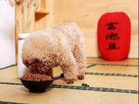 北京翼趣科技有限公司