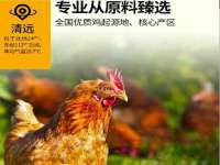 北京翼趣科技有限公司