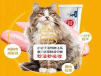 北京翼趣科技有限公司
