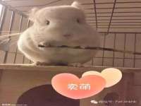 北京翼趣科技有限公司