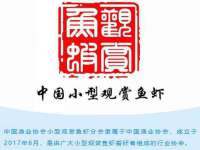北京翼趣科技有限公司
