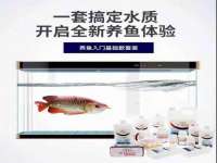北京翼趣科技有限公司