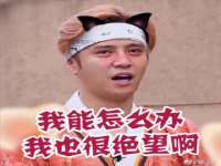 北京翼趣科技有限公司